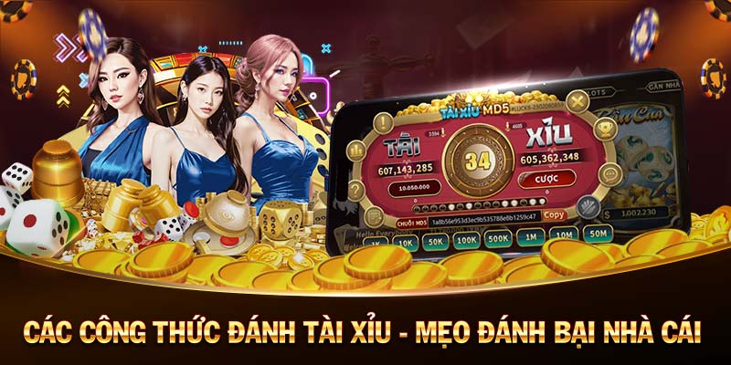 bắn cá online hack rongdo